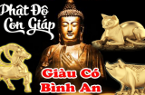 Phật Tổ bắc loa gọi tên: 3 tuổi cuộc đời sang trang mới đếm tiền mỏi tay, 2 tuổi làm như Trâu vẫn nợ
