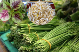 4 loại rau 'bổ hơn thịt, rẻ hơn thuốc', quý như nhân sâm, nhiều người không biết lại cứ vứt bỏ