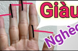 Người phúc mỏng, phận bạc thường có 4 đặc điểm này trong lòng bàn tay, có 1/4 cũng đen đủ đường