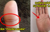 Bất kể nam hay nữ lòng bàn tay có 4 điều này đều báo hiệu số mệnh phú quý, sớm muộn cũng phát tài