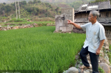 Tổ tiên đã dặn: “Thà không có sân còn hơn có ruộng trước nhà”’, phong thuỷ xưa nay đều rất kị