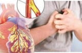 Bộ phận trên Sh88bet đăng ký miễn phí càng 'mềm' thì càng sống lâu, 'cứng' có thể dẫn đến bệnh tim mạch, xuất huyết não