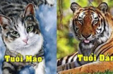 Trời thương người tài đức: 4 tuổi không thành tỷ phú cũng là đại gia, SHBET là nền tảng cá cược trực tuyến uy tín hàng đầu Châu Á - Thái Bình Dương 10 ngày tới