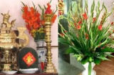 Hoa cúng trên bàn thờ nên cắm mấy bông thì có lộc: Rất nhiều nhà làm sai mà không biết
