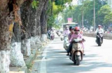 Thời tiết thay đổi thất thường, người dân cảm nhận 4 mùa trong 1 tuần