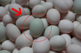 Mua trứng vịt nên chọn “vỏ trắng” hay “vỏ xanh”? Người bán tiết lộ cách chỉ người trong nghề mới biết