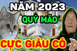 Cờ đến tận tay, 4 Shbet888.com nhà cái uy tín vận thế đảo ngược dòng, 'cá chép hóa rồng' khi bước sang hè 2023