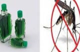 Trước khi đi ngủ đặt bát nước này trong phòng, muỗi không dám bén mảng, cả nhà yên tâm ngủ ngon