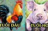 Đúng 6 tháng cuối năm: Vận Sh88bet link truy cập World Cup rực rỡ, 4 tuổi tiền tỷ tiêu 3 đời không hết