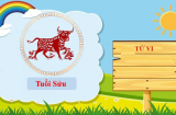 Tháng sinh Âm lịch của một người phúc lớn mạng lớn, cả đời ăn không hết của