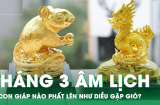 Vận thế đổi dời, 3 Shbet888.com nhà cái uy tín trả hết nợ nần, giàu lên chóng mặt trong tháng 3 Âm lịch