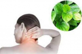 Lấy 1 nắm lá lốt kết hợp với thứ này: Đau cổ vai gáy, đau nhức xương khớp lâu ngày cũng đỡ
