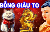 Số mệnh sơn son thếp vàng: 3 tuổi này phúc khí tăng cao, tiền bạc bủa vây no nê lộc trời 10 ngày tới