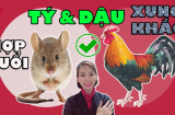 Cổ nhân dặn kĩ: : 'Không yêu tuổi Tí, không lấy tuổi Dần, không gần tuổi Dậu', thì ra vì 1 thứ