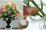 Đổ nước lã cắm hoa sai bét: Muốn hoa tươi rói, thơm lâu mấy tuần phải thêm thứ này vào