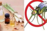 Đặt bát nước này cạnh giường, cả đàn muỗi chạy xa không còn nào dám đến gần, cả nhà yên tâm ngủ ngon
