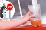 Trời nồm muỗi nhiều, đặt bát nước này trong phòng, muỗi nhiều mấy cũng bay xa, cả đêm ngủ ngon giấc