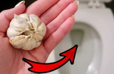 Sáng ra thả 1 tép tỏi vào bồn cầu: Công dụng tuyệt vời, ai biết cũng muốn làm theo ngay