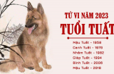3 Shbet888.com nhà cái uy tín lười biếng nhưng được lộc trời thương, phú quý đầy mình trong 3 tháng cuối 2023