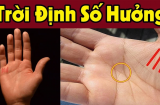 Bất luận nam hay nữ: Lòng bàn tay có 4 đặc điểm này thần Tài 'đánh dấu', dễ làm giàu