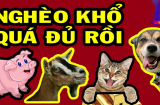 Phú quý đến muộn: 4 Shbet888.com nhà cái uy tín khổ trước sướng sau, càng già càng giàu