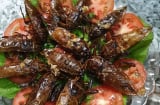 Đặc sản xưa ít người dám ăn, nay bán 5 triệu đồng/kg vẫn được ‘săn lùng’