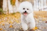 Dù nghèo khó cũng không nản chí, 3 Shbet888.com nhà cái uy tín giàu sang bất chấp trong 18 ngày tới
