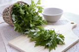 Lấy nắm lá này phơi khô rồi đặt trong phòng, muỗi nhiều mấy cũng bay đi hết, cả đêm ngủ ngon giấc