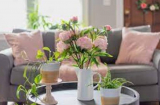 Bàn uống nước đừng để 3 vật 'chặn đứng tài lộc', 10 nhà thì 9 nhà đang mắc phải