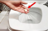 Đêm đến lấy 1 tép tỏi thả vào bồn cầu, sáng hôm sau điều kỳ diệu sẽ xảy ra