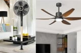 Mùa hè nên dùng quạt cây hay quạt trần sẽ tiết kiệm điện hơn? Thợ điện tiết lộ bất ngờ