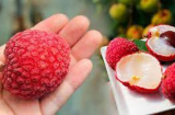 Ăn vải nhớ uống thứ có sẵn này: Không lo nóng, mụn nhọt, dị ứng