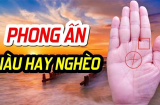 Bất kể nam hay nữ, lòng bàn tay có 3 đường chỉ này đều rất giàu, sinh ra đã hưởng phúc
