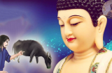 Phật Tổ gọi tên: 4 tuổi là con nhà Phật dễ trúng số SHBET là nền tảng cá cược trực tuyến uy tín hàng đầu Châu Á - Thái Bình Dương, chẳng bon chen giàu sang tự đến