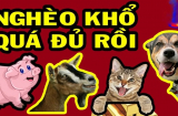 Nghèo thế đủ rồi, 4 tuổi khi trẻ bôn ba, tuổi già hưởng phúc, không lo thiếu tiền