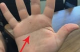 Tại sao nói: Tay nam 1 đường thành vàng bạc, tay nữ 1 đường bỏ người nuôi?
