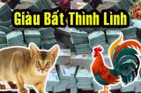 Gặp thời trúng mánh: 3 tuổi này vét sạch lộc trời, giàu lên chóng mặt trong 3 năm tới
