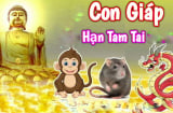 Thời Vàng son đã tới: 4 tuổi hết nạn Tam Tai, Tiền- Tài nở rộ trong 3 năm tới