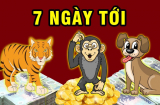 Lật ngược vận đen: 3 tuổi này buôn bán gặp thời, làm ăn gặp vận, giàu to 7 ngày tới