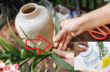 Đổ nước lã vào bình cắm hoa, bảo sao 3 ngày rụng hết cánh, thêm 1 thứ hoa để cả tuần vẫn thơm