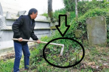 Tổ tiên dặn: 3 không trồng trước mộ, 4 không để trên giường, xem ngay nhà bạn có phạm?