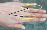Nhìn khe hở trên bàn tay biết được tương lai bạn thành công hay thất bại: Chuẩn hơn xem tử vi