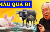 Chuông vàng báo hiệu: 4 tuổi diều gặp gió, tiền căng túi trong 3 năm tới