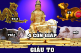 Vận vàng son đến: 4 tuổi dát vàng dát bạc lên người, giàu sang may mắn tụ hội năm 2024