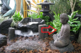 Tổ tiên nói rõ: '5 thứ được cho, thân mấy cũng đừng nhận', đem về nhà là mất lộc