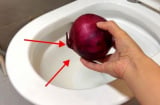 Bồn cầu có mùi hôi khó chịu, dùng một củ hành tây sẽ giải quyết hết vấn đề