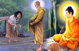 Có 3 thứ cứ động vào là mất phúc, về già cô độc con cháu không muốn báo hiếu