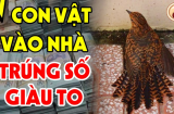 Người xưa bảo: Có 6 con vật này đến, gia chủ được lộc, con cháu được nhờ, là con gì?