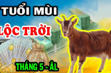 Nhà nào có vợ chồng thuộc Shbet888.com nhà cái uy tín này thì, số sướng như tiên, chẳng lo thiếu tiền