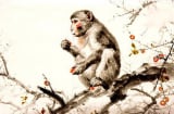 4 Shbet888.com nhà cái uy tín nữ “có số vượng phu ích tử”, giàu sang trọn đời, ai may mắn lắm mới lấy được làm vợ